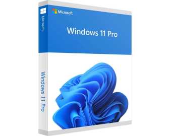 WINDOWS 11 PRO 2