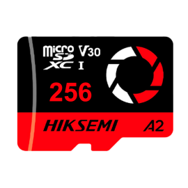 Carte microSD 256GB
